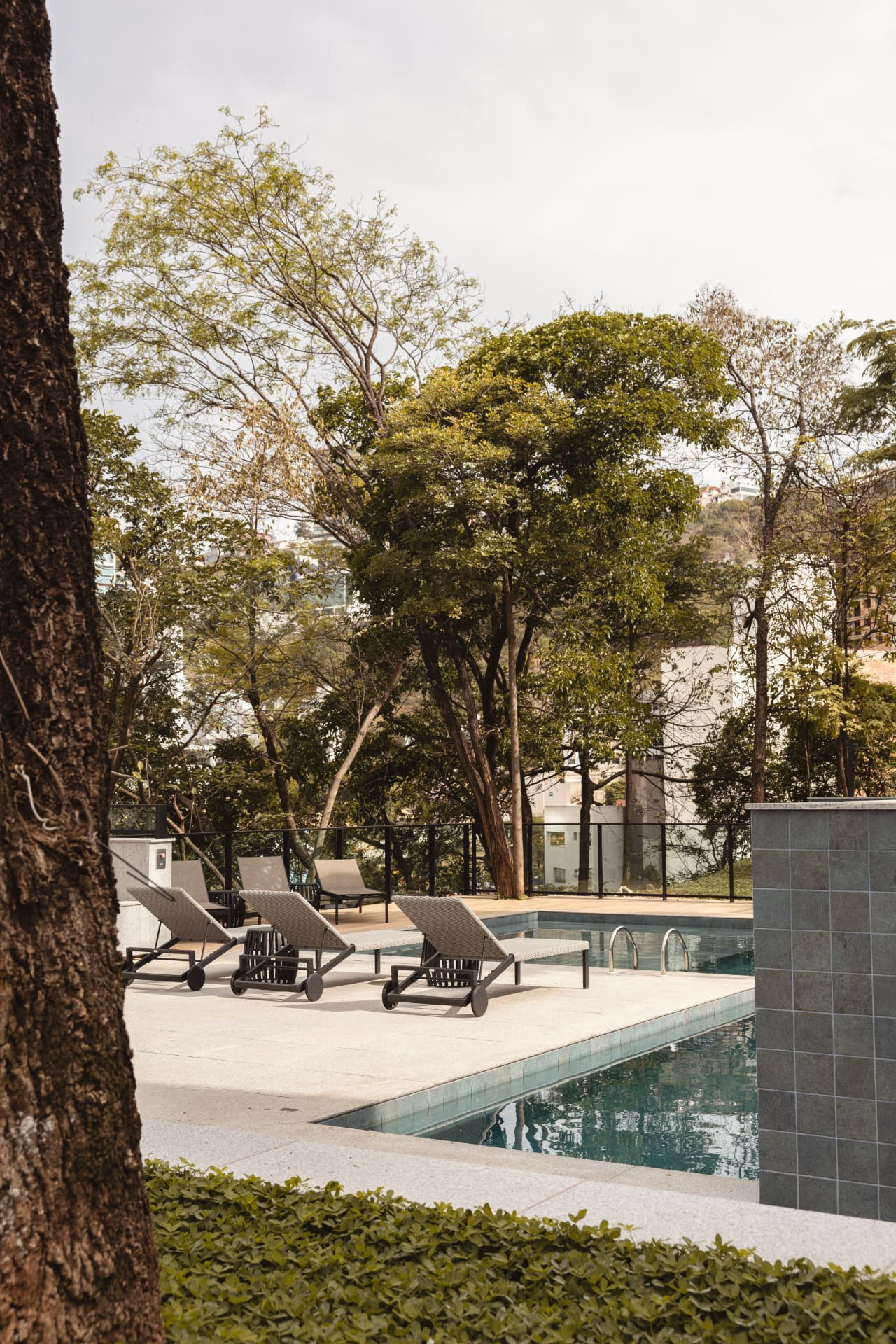 Área externa de convivência com piscina, espreguiçadeiras e área verde preservada
